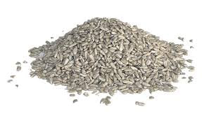 BC - Graines de tournesol - 500g - Bio - Biocer