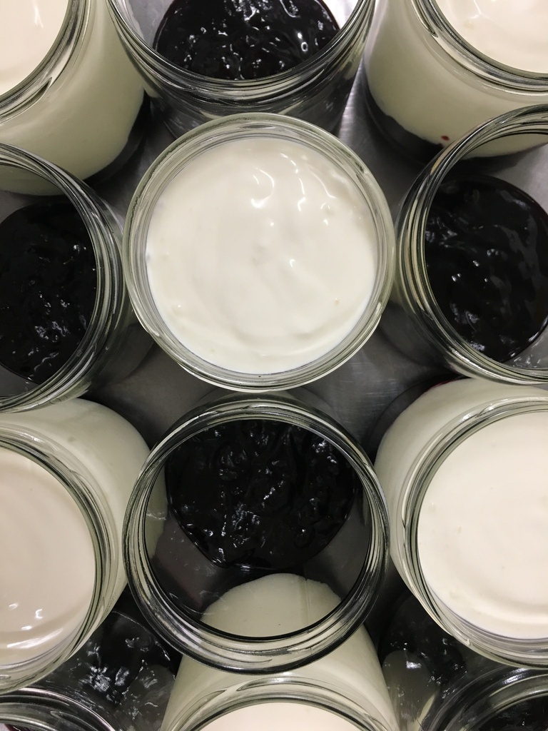FH - Yaourt : Le Grec Cassis - 400ml - La fromagerie en herbe