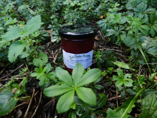 Petites Sauvages - Confiture Pommes Orties Bio - Pot de 220g