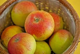 FW - Pomme à croquer - Bio - kg - Ferme du Wint