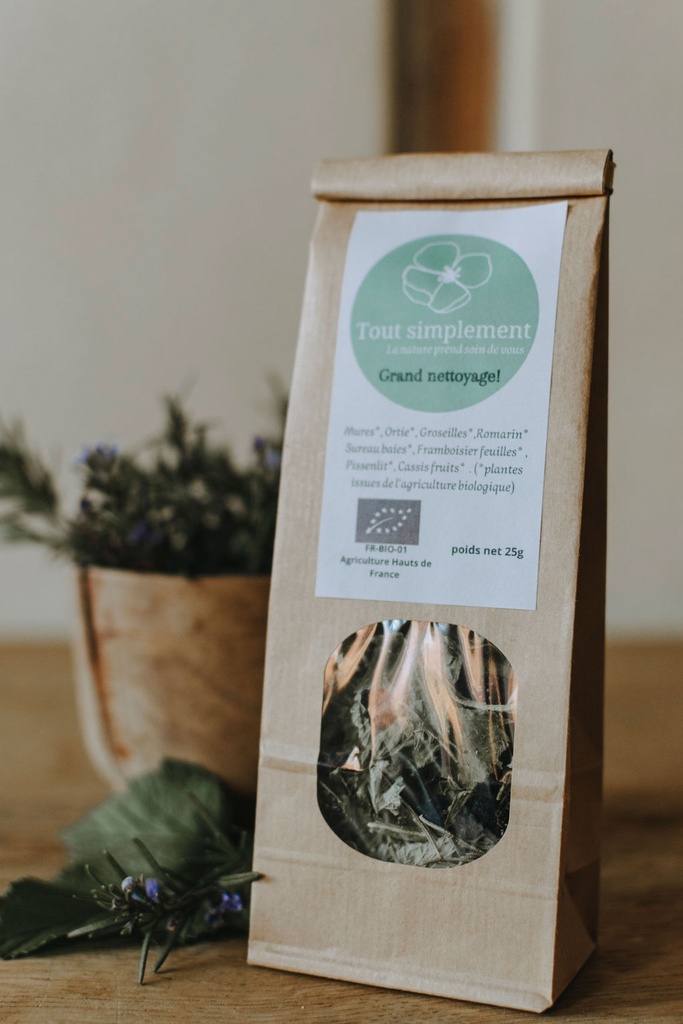 TS - Tisane "Grand nettoyage" - Bio - Sachet de 25g - Tout Simplement