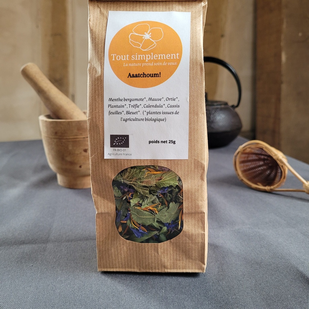 TS - Tisane "Aaaaaatchoum" - Bio - Sachet de 25g - Tout Simplement