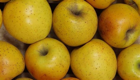 FW - Pomme Goldrush Bio - kg - Ferme du Wint