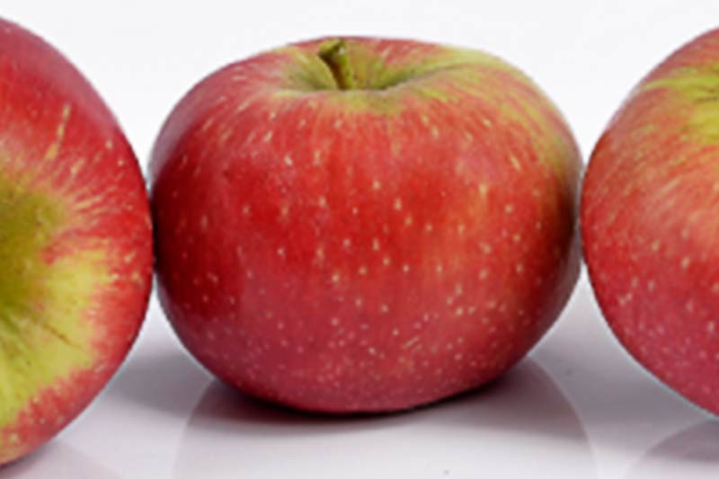 FW - Pomme Dalilight Bio - kg