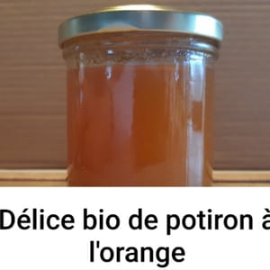 SH - Délice de potiron à l'orange 145g - pièce - Bio - Sophie Hamann