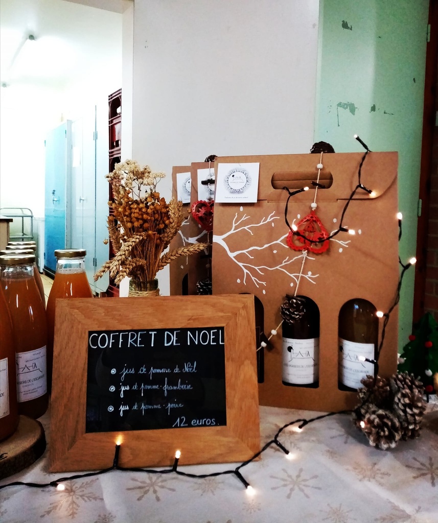 VE - Coffret de Noël - 3 Jus - Consigné - Bio sans label - Verger Escapades