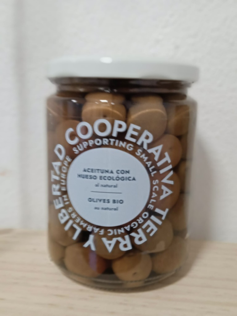 TyL - Olives "Manzanilla" Ail / Thym - 420g - Bio - Tierra Y Libertad