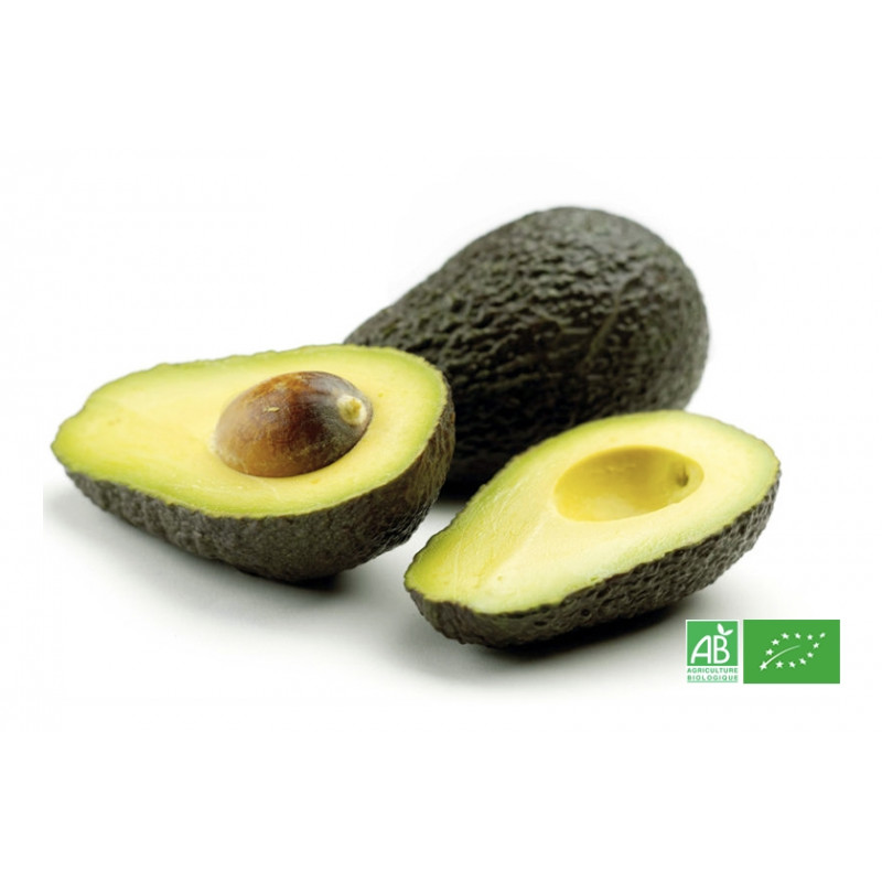 TyL - Avocat Hass - 1kg - Bio - Tierra Y Libertad