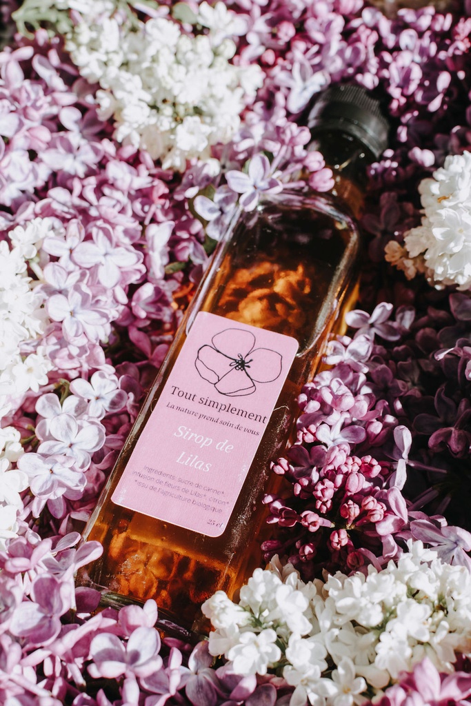 TS - Sirop de lilas - Bio - Bouteille de 25cl - Tout Simplement