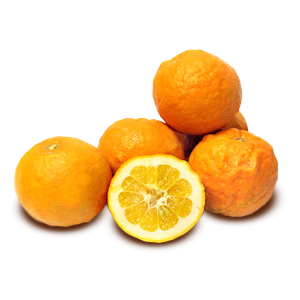 GF - Orange Amère bio - Kg - Galline Felici