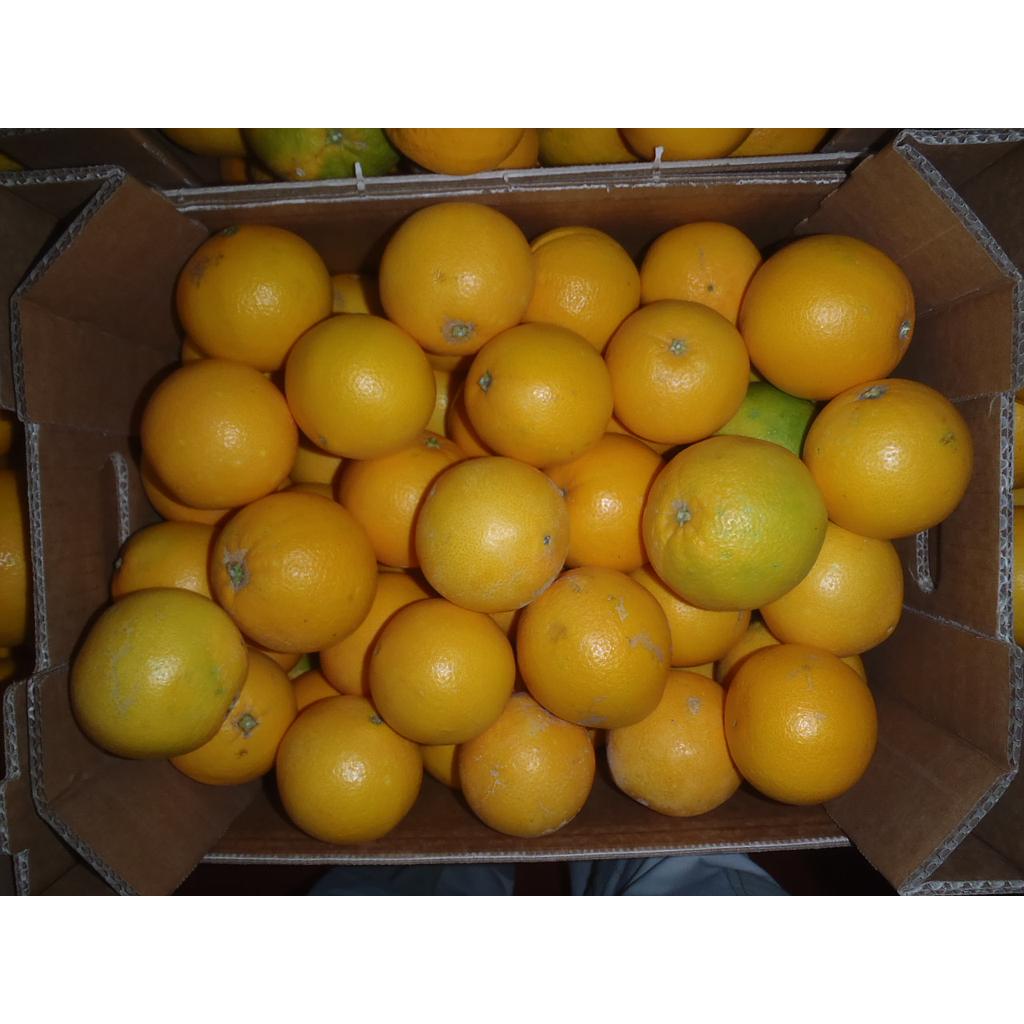 GF - Orange Naveline bio - Kg