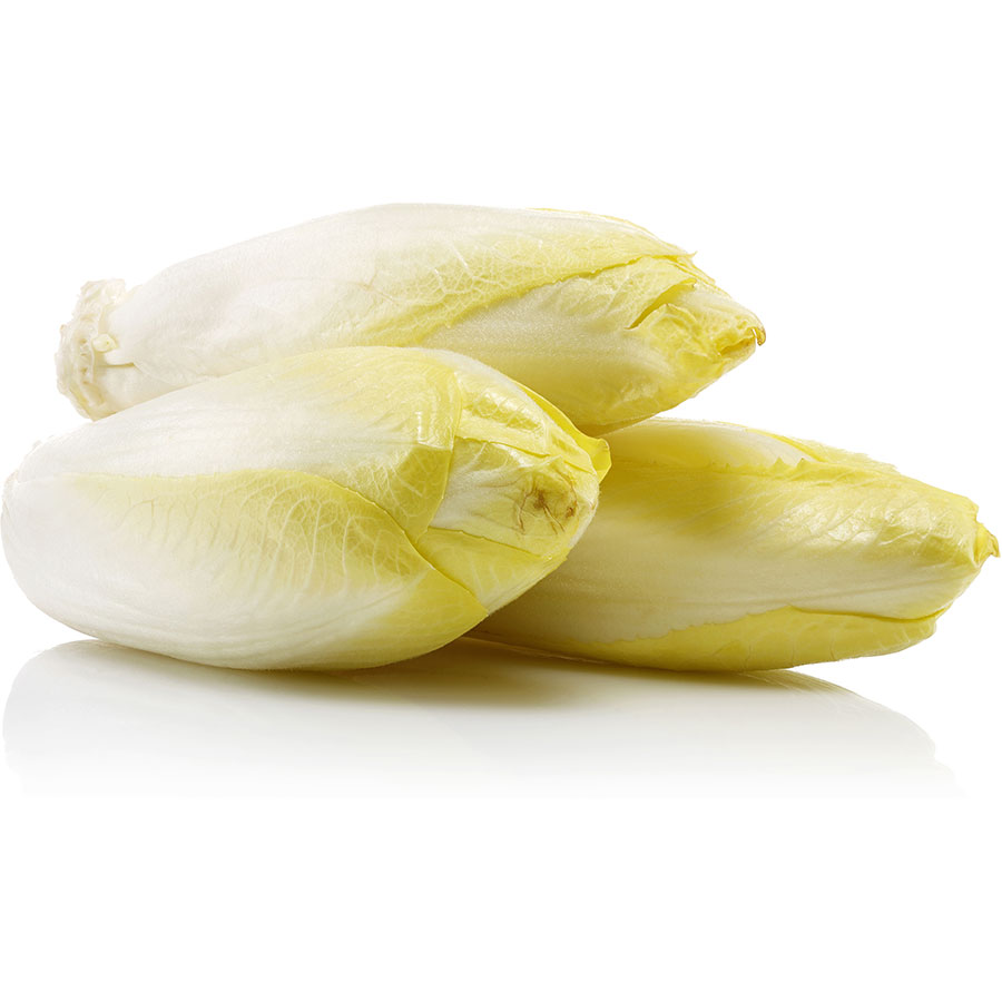 JW - Endives Bio - kg - Jérôme Wavrant