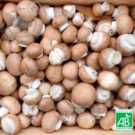 JW - Champignon brun de Paris - Bio - 250g - Jérôme Wavrant