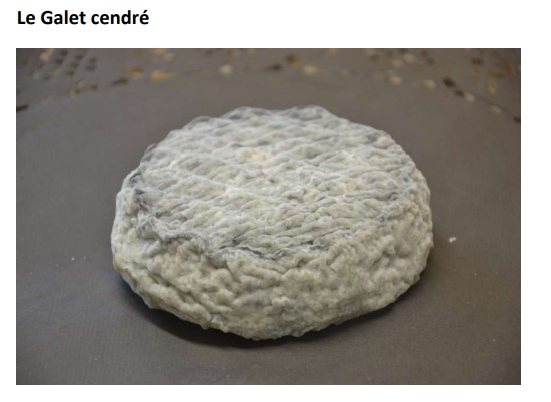 BB - Galet cendré - 180g - Fromage affiné Chèvre - Bique N' Brouck