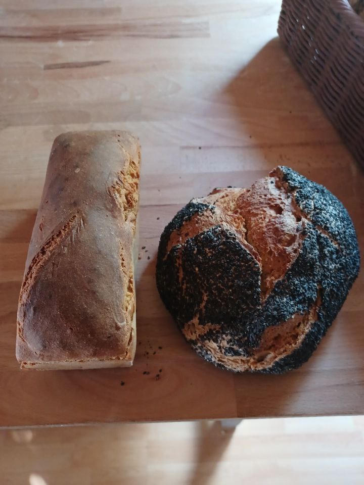 TP - Pain Campagne type 80 - 500G - Nature et Progrès - Triporteur des Pains