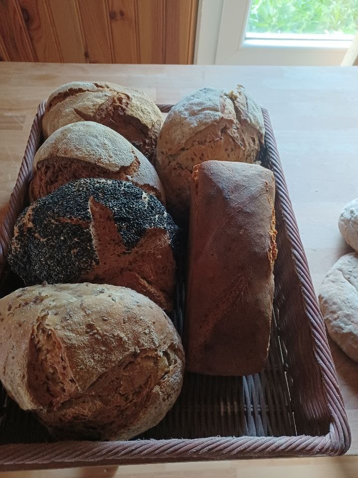TP - Pain au levain - Multi graines ( lin/sésame / tournesol ) type 80 - 500G - Nature et Progrès