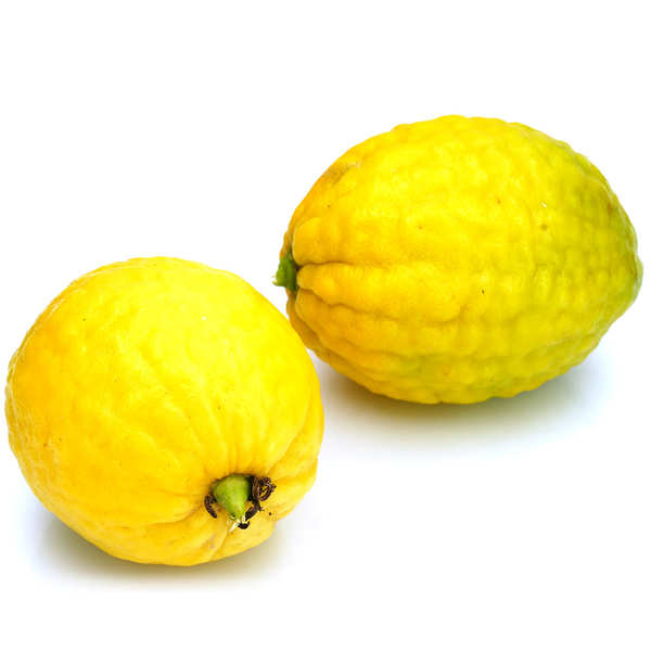 GF - Cédrat bio - Kg - Galline Felici