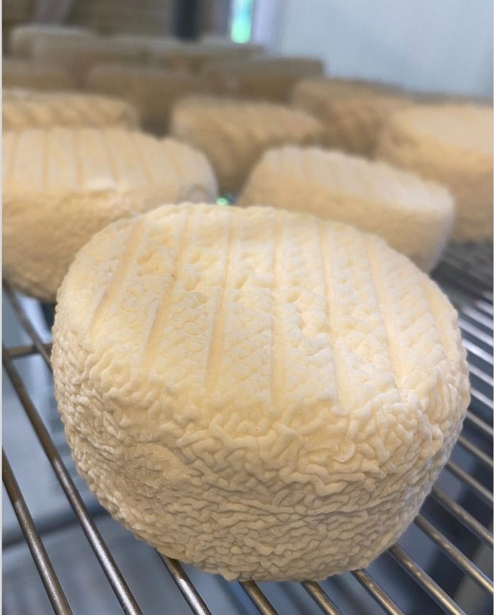 FH - Fromage de chèvre demi affiné - La fromagerie en herbe