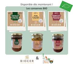 BC - Conserve « Lentilles vertes au naturel » - 500g - Bio - Biocer